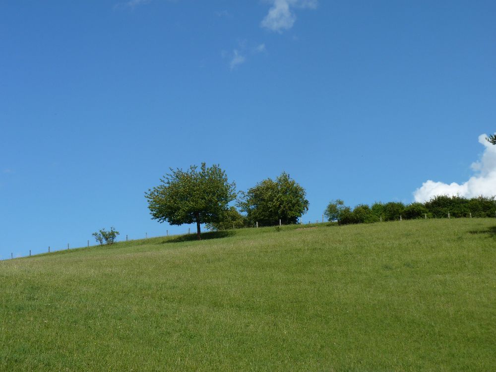 Sommer in der Eifel